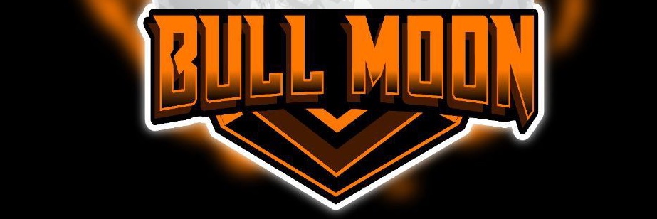 Bullmoon Token ($BLMT X $BMG) banner