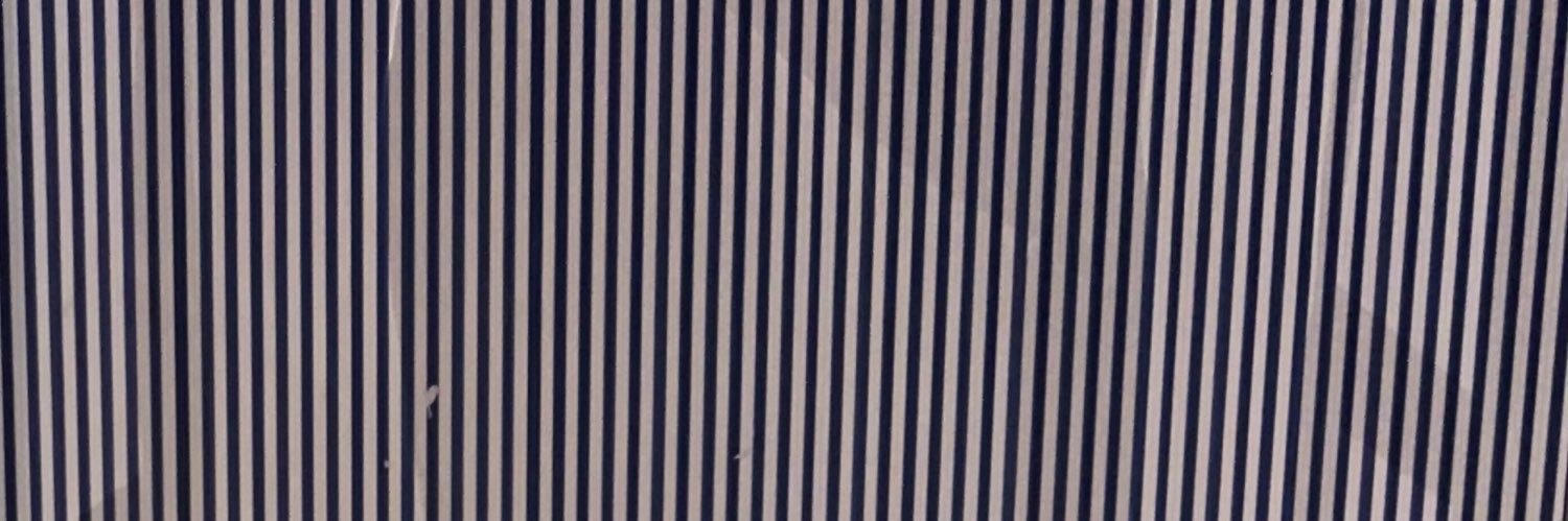 lisetteavilaa's profile banner image