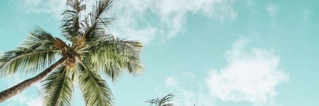 iamambertis's profile banner image