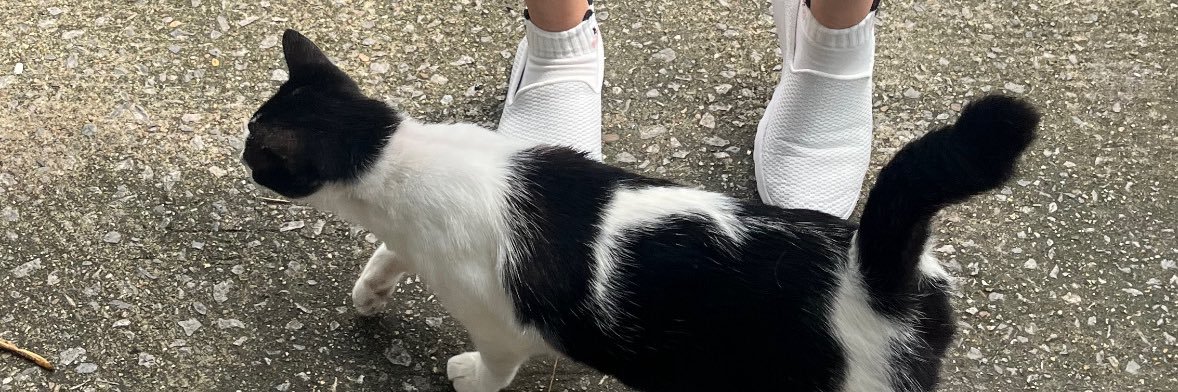 เขี้ยวกุดยูมิจัง banner