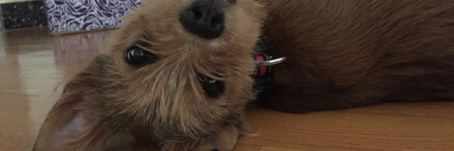 beccastrutz's profile banner image