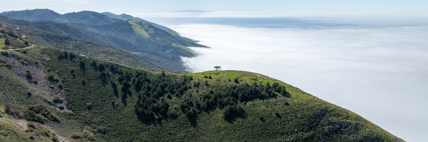 Josh Ernstrom banner