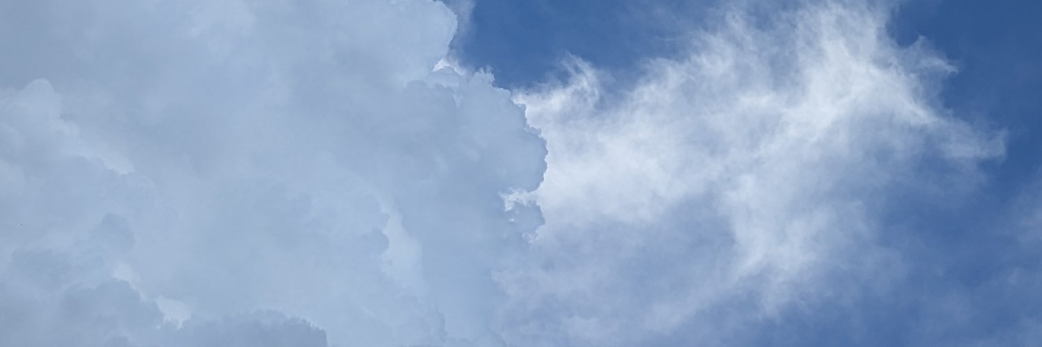 joyyyyyyyyu's profile banner image