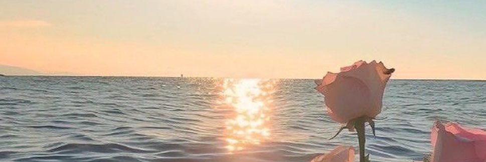 MonseRobles_'s profile banner image