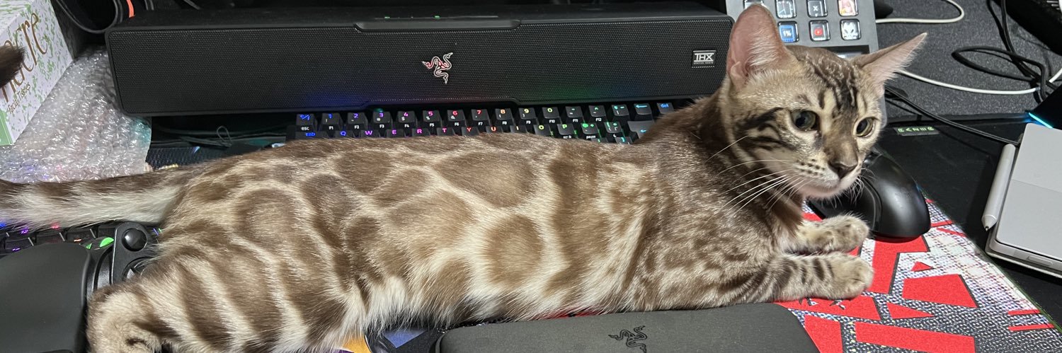 nan0stern's profile banner image