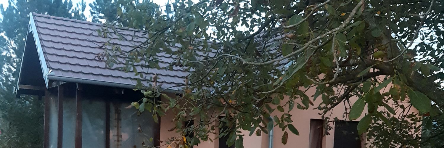 LSrdjan's profile banner image