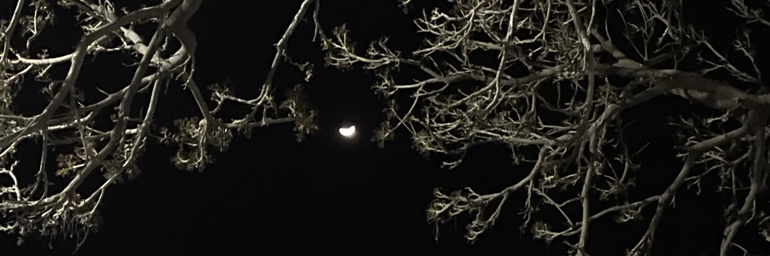 ️️ ️️️️️️️️️ ️️ ️️ ️️ banner