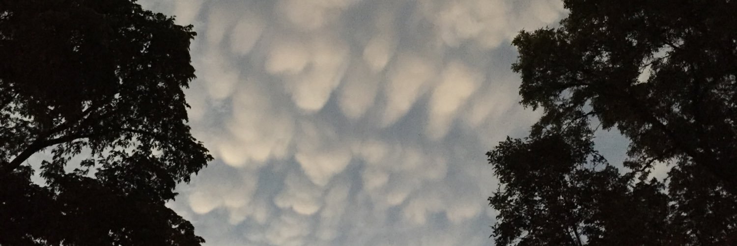 davidastreit's profile banner image