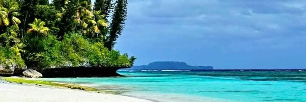 Mike_November_ banner