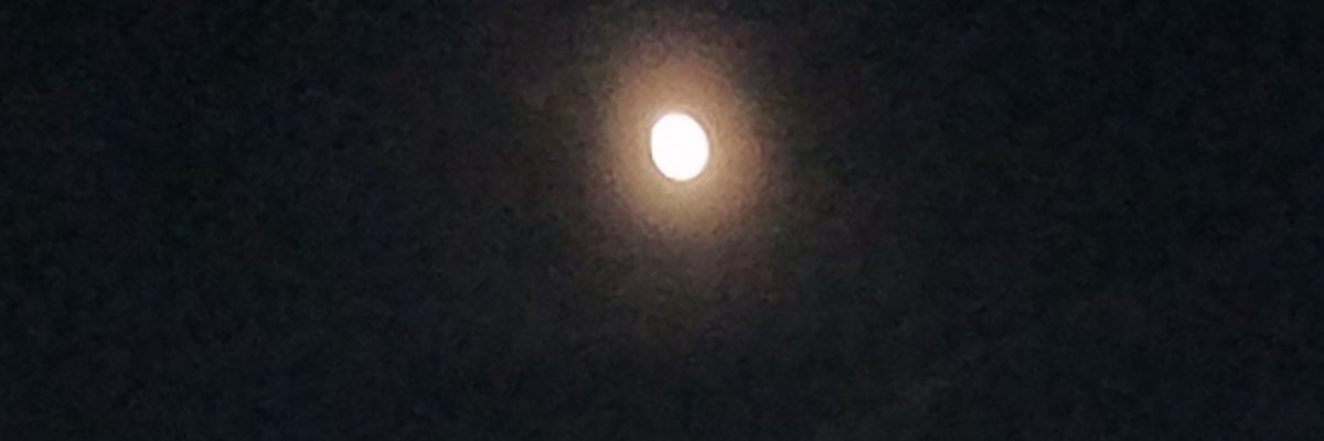 karatedofuma's profile banner image