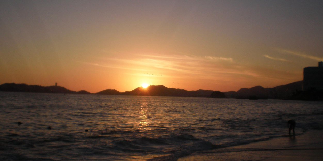 María del Mar banner