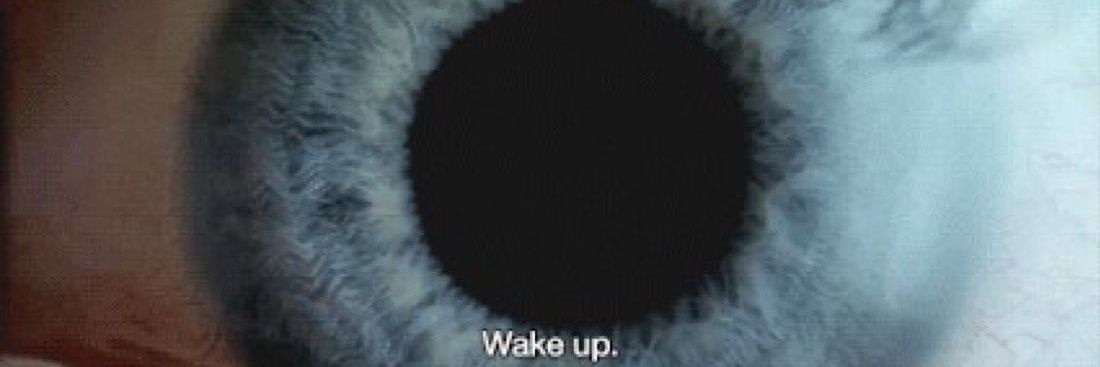 Cat 😺⚔️ banner