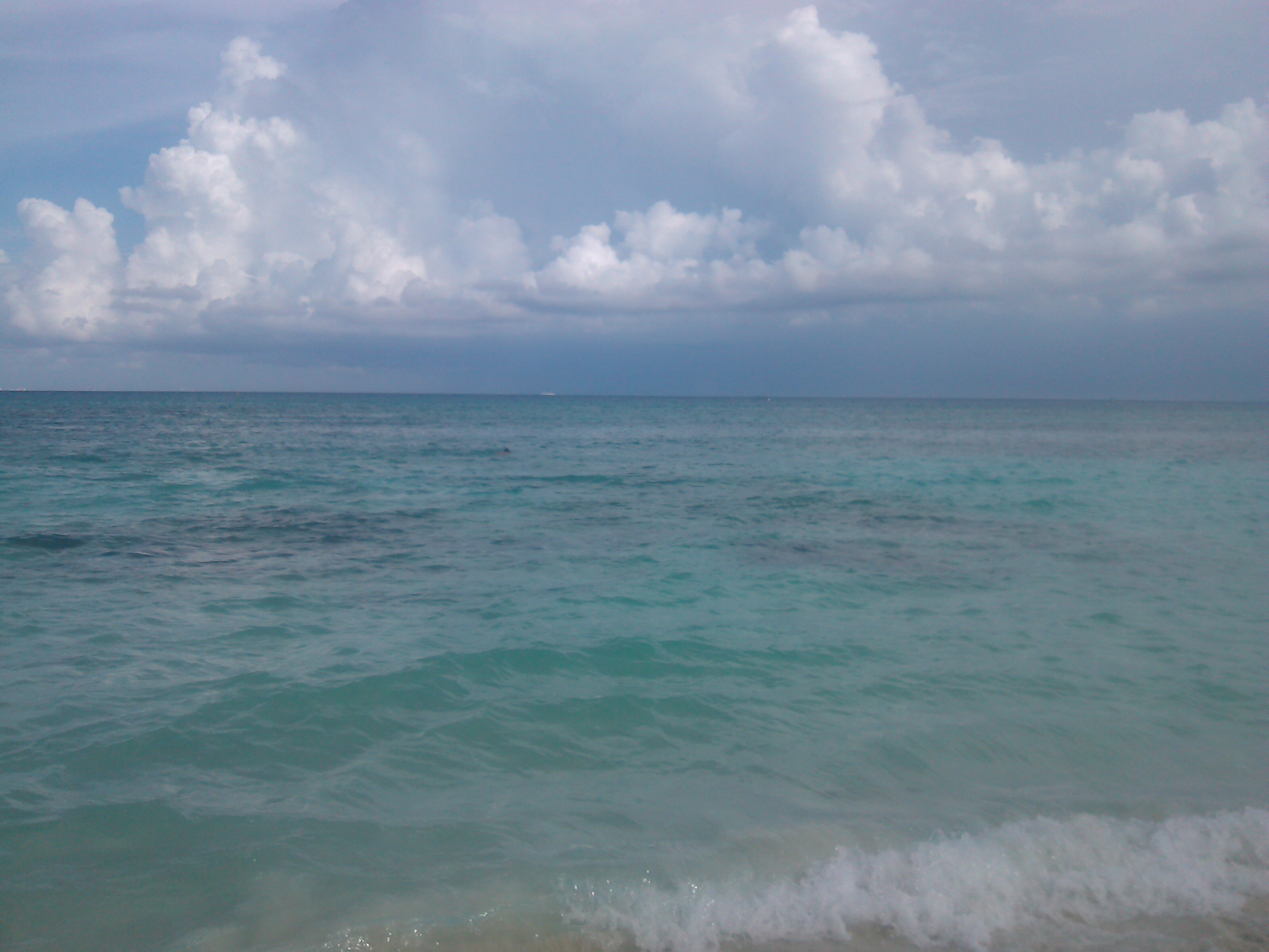 Alberto   Sanchez banner