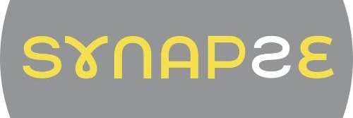 Synapse - Pakistan Neuroscience Institute banner