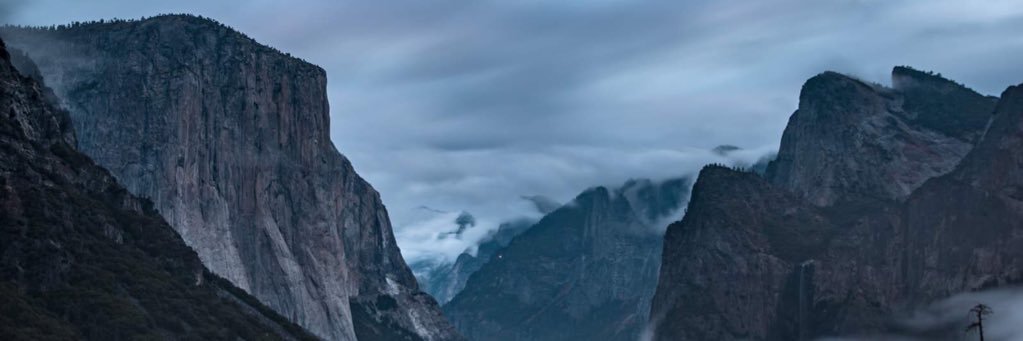 Dylan Shendell banner