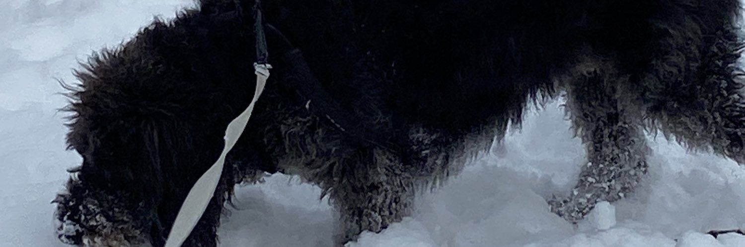 EliteVintage1's profile banner image