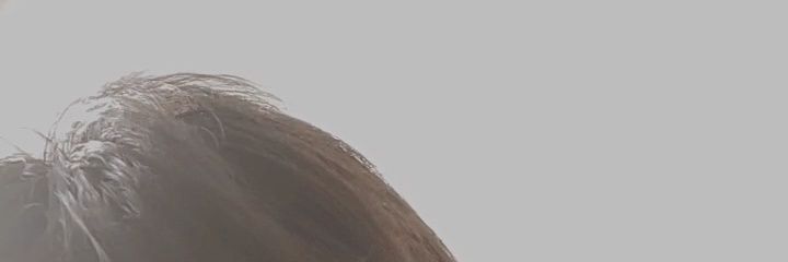 20y banner