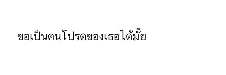 / banner