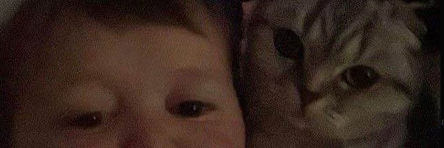 Alex. banner