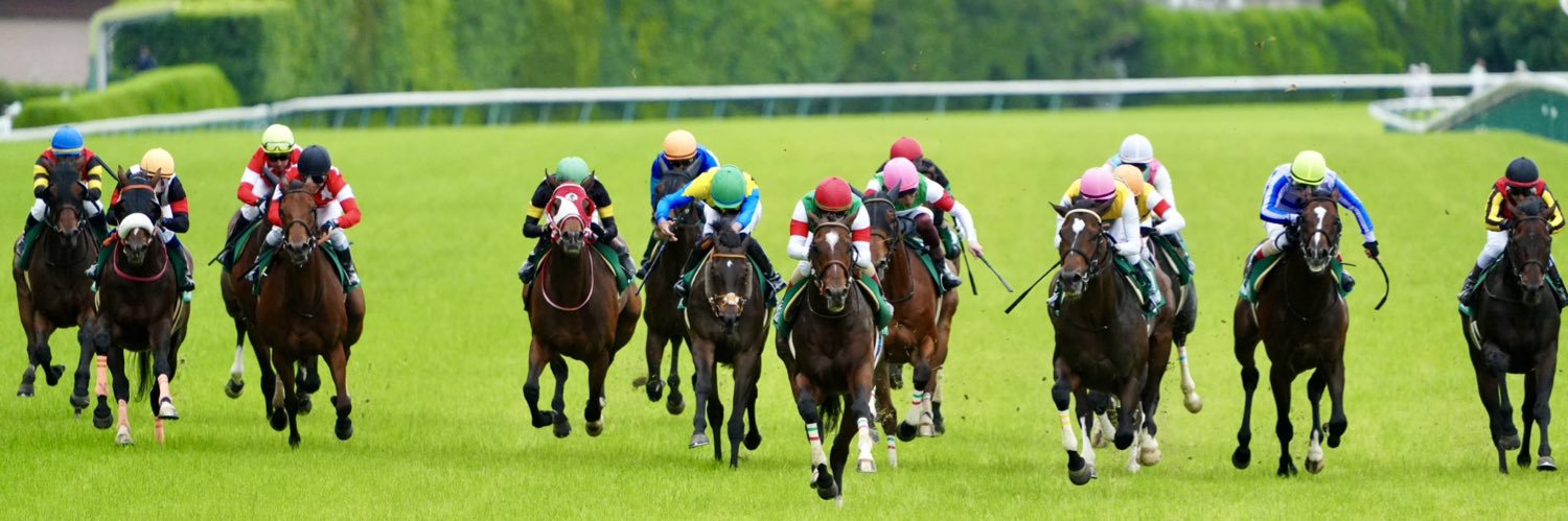 いつお@一口馬主アカ banner