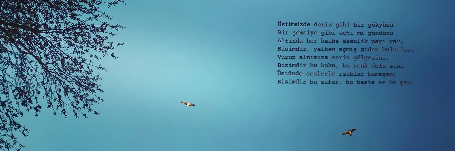 beet_ii's profile banner image