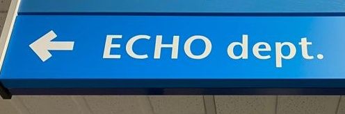 The ECHO chamber's banner