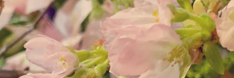 foxheader's profile banner image