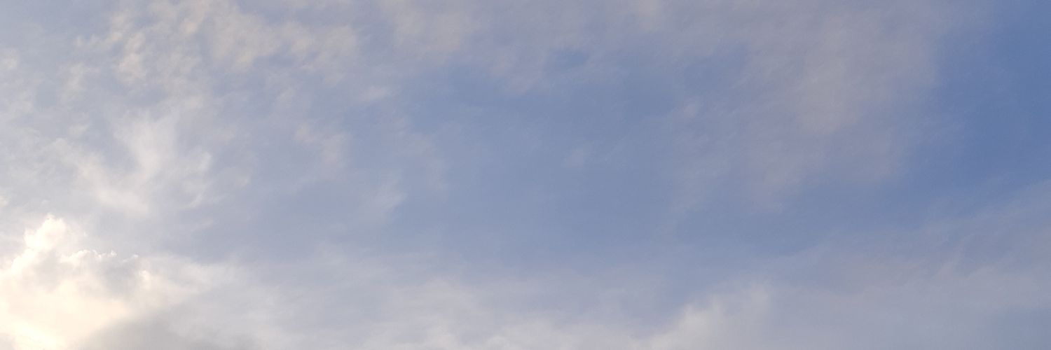 mi sol banner