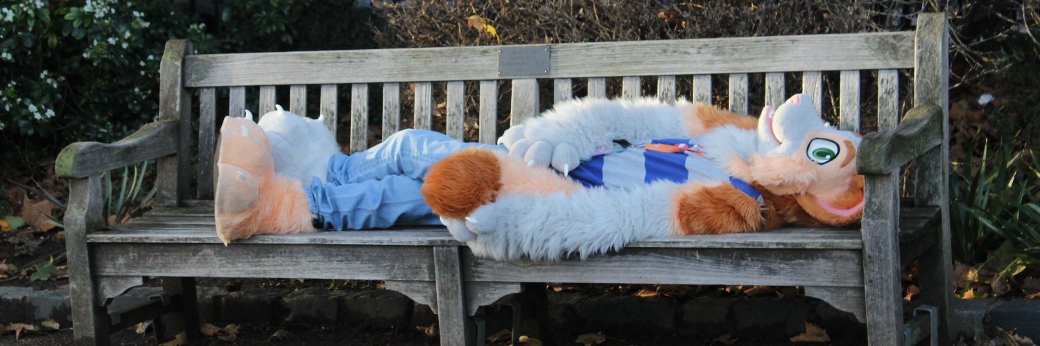 Flange the Station Cat banner
