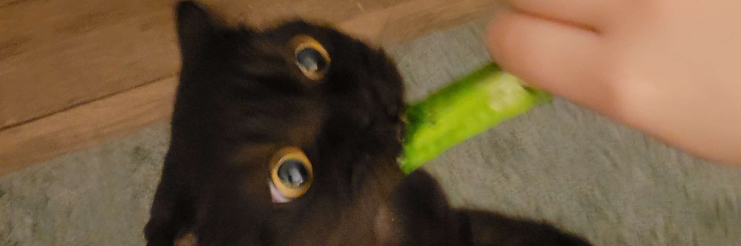 noodleoddle's profile banner image