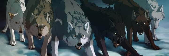 LOBO SOLITARIO banner