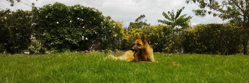 caromontaco's profile banner image