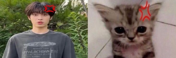 DEAD AND nami banner