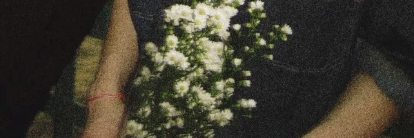 fleursantaa Profile Banner