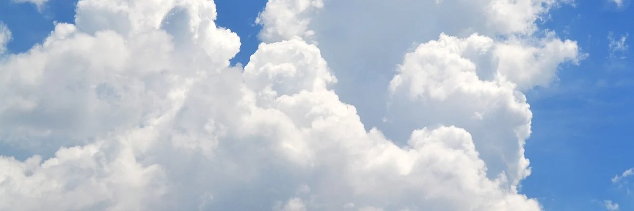 00Spectator 𓅃 banner