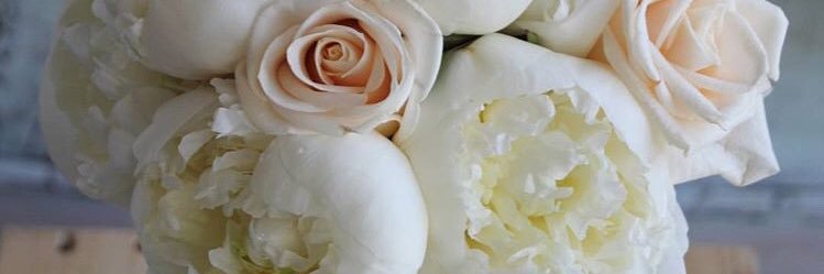 AbbeyRonneseth's profile banner image