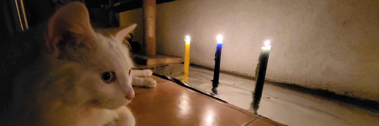 _SpookyRen's profile banner image