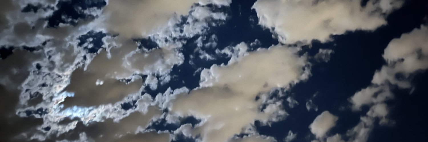 blankernights's profile banner image