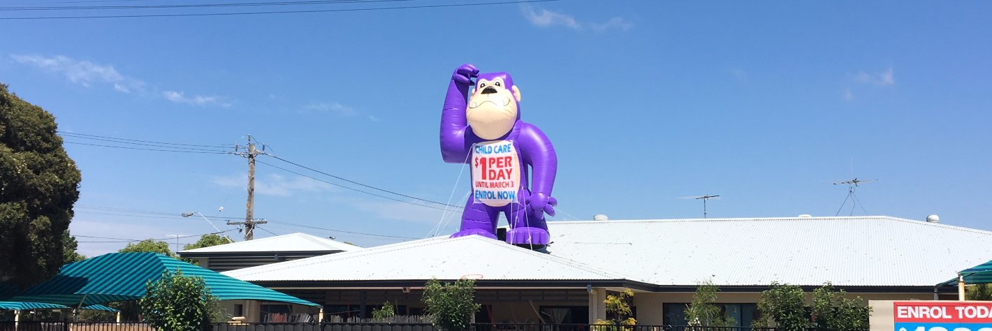 Mr Inflatables (@MrInflatables) / Posts / X