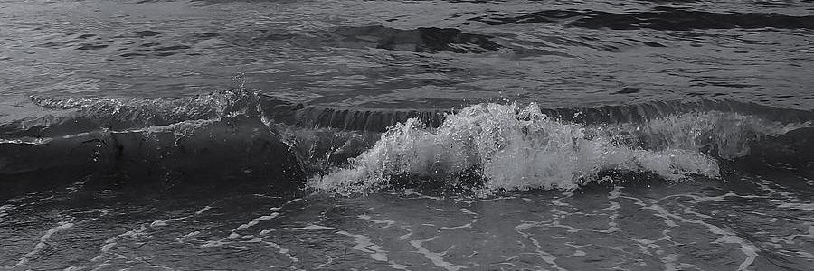 tsipteaweaght's profile banner image