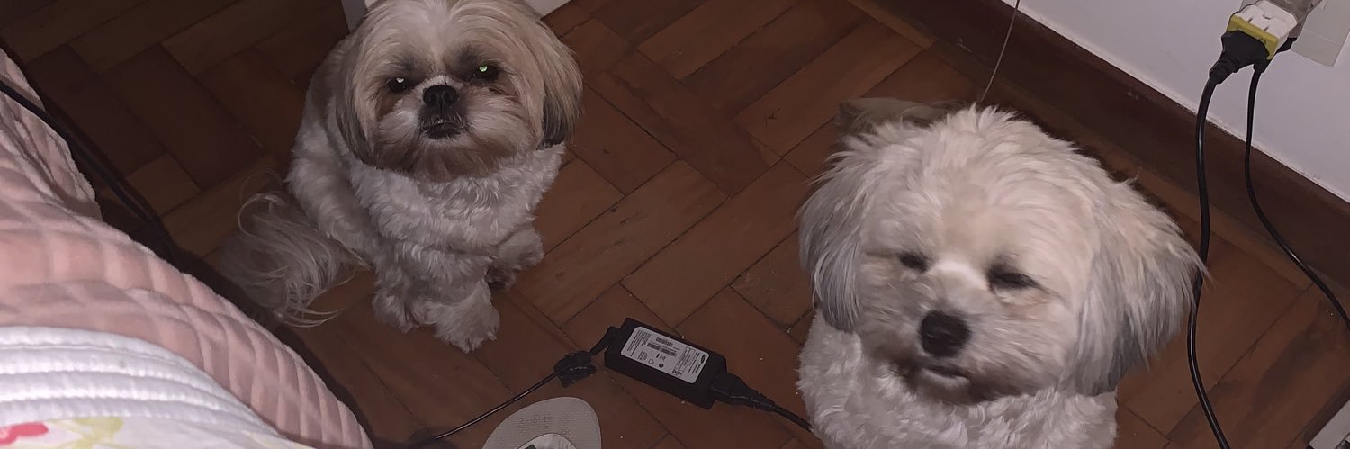 brubrupvd_'s profile banner image