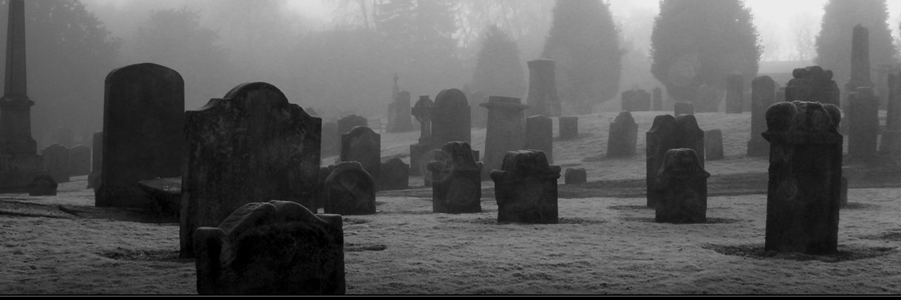 AngellustI's profile banner image