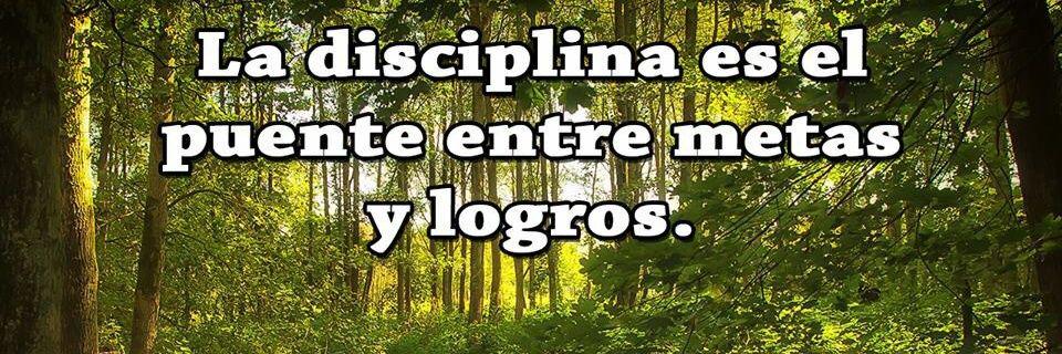 PVelasquezRoa's profile banner image