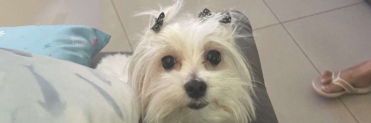 nimarianoo's profile banner image