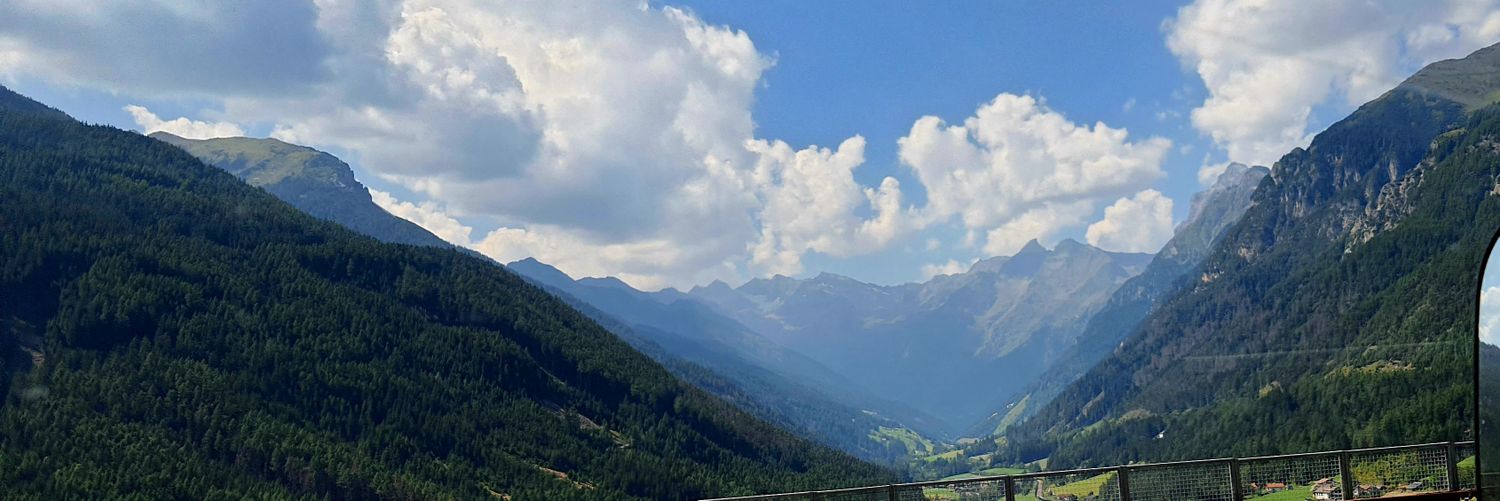 Robert Połowniak banner