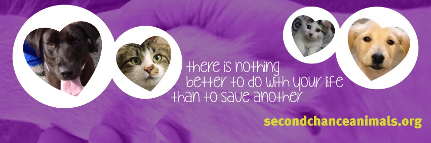 Second Chance Animal Services banner