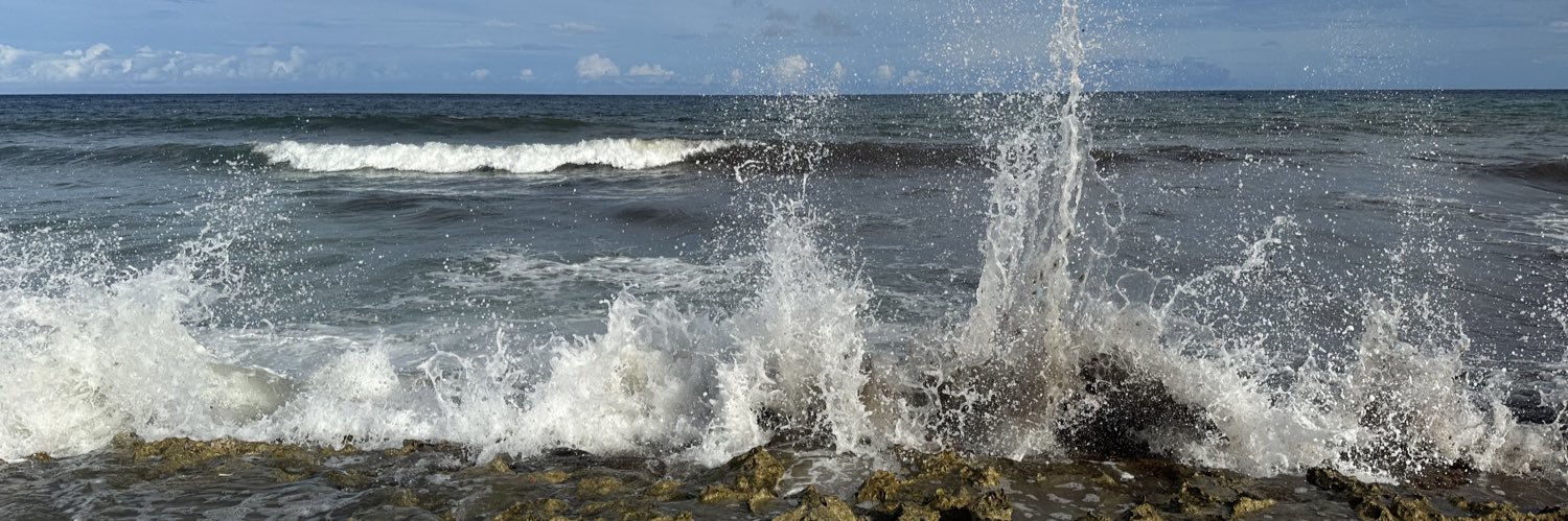 CarlitoRubem's profile banner image