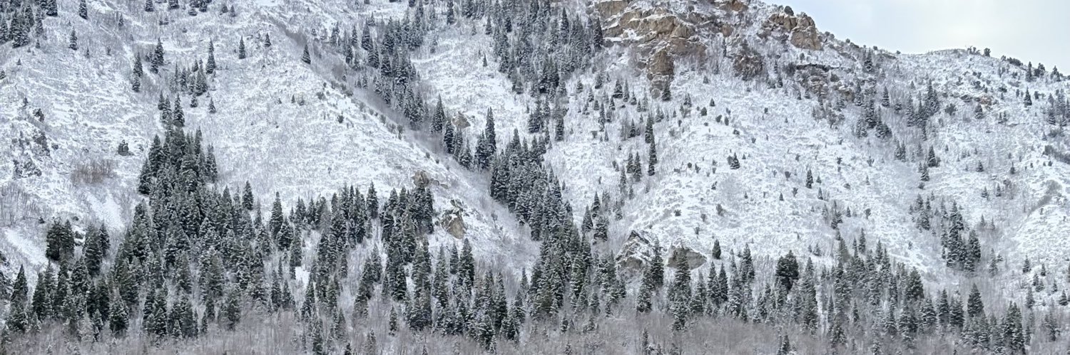 MAXI DEPÓSITO banner