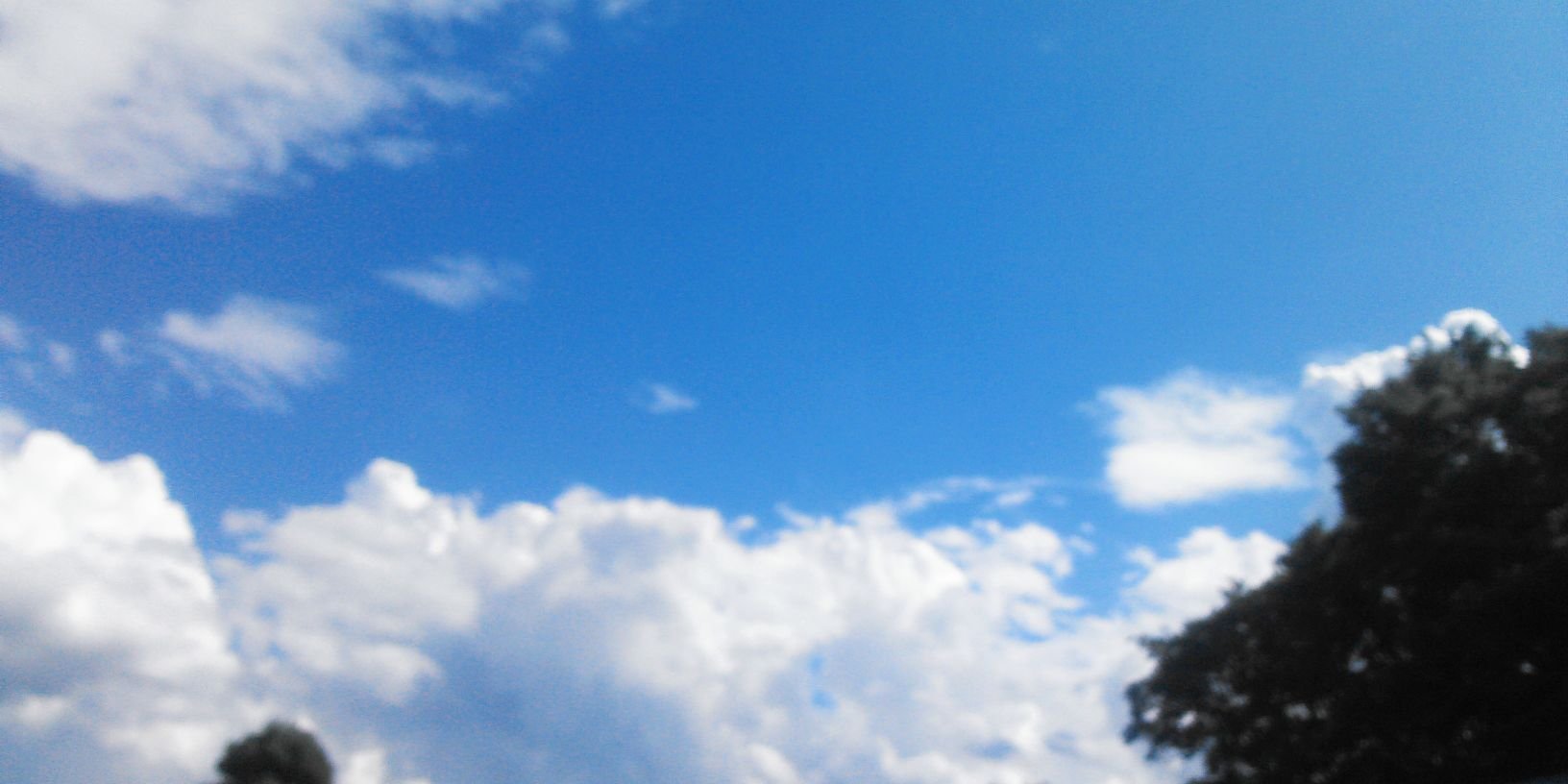 syu5962's profile banner image