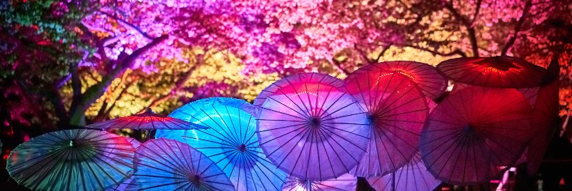 jcdrgnfly's profile banner image